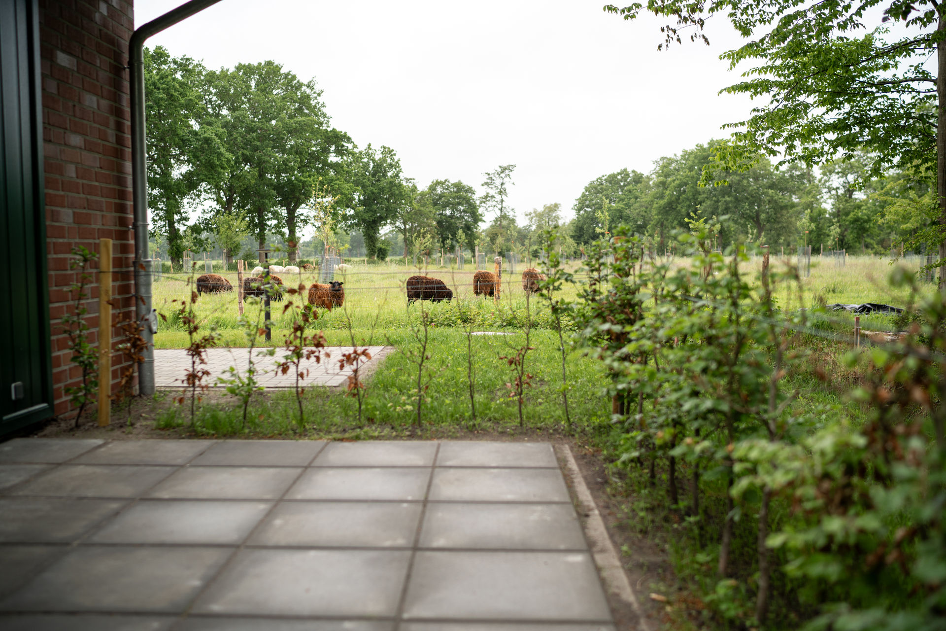 197 - Nordwind 27.05.25-197