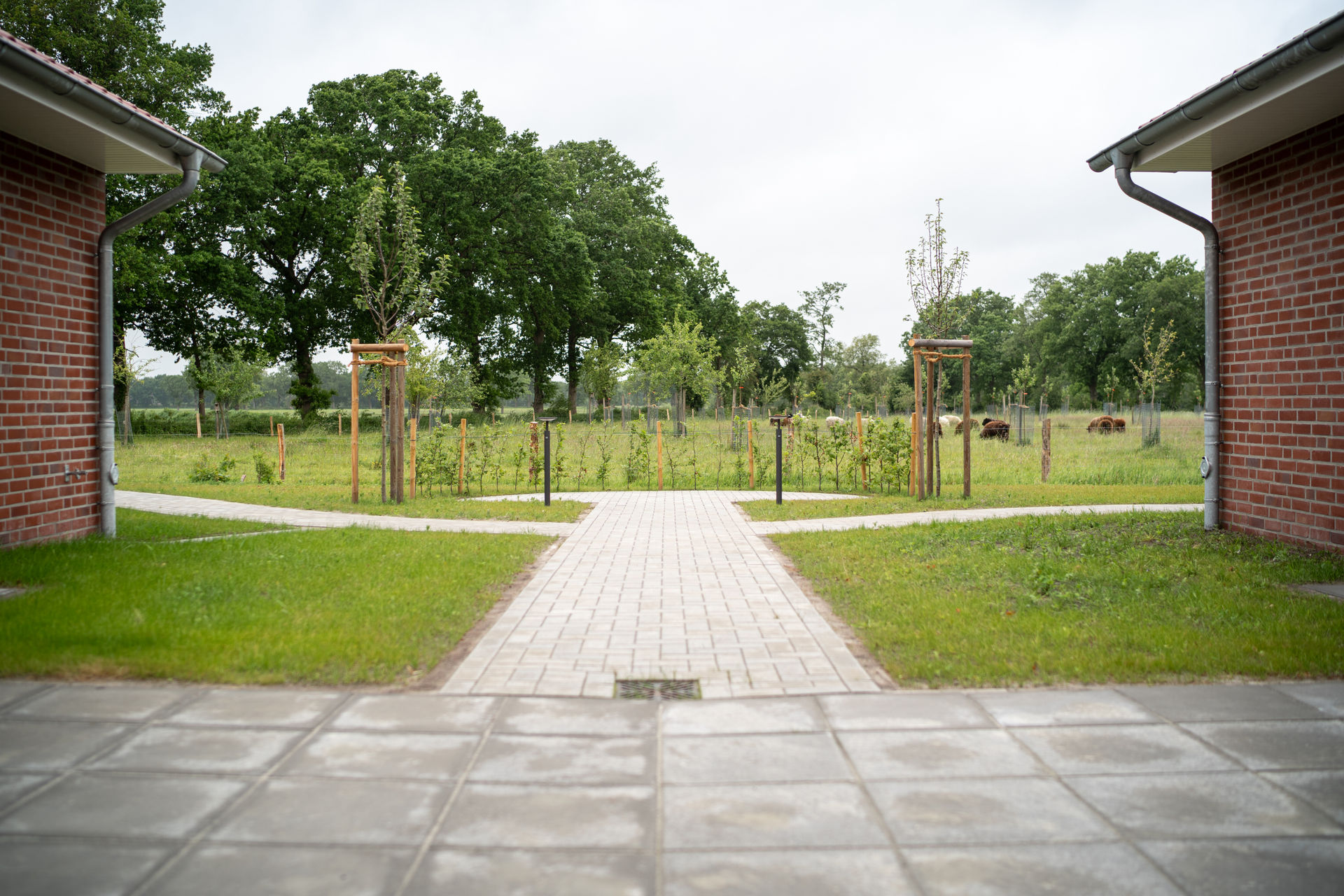 213 - Nordwind 27.05.25-213